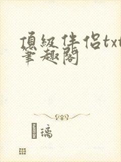 顶级伴侣txt笔趣阁