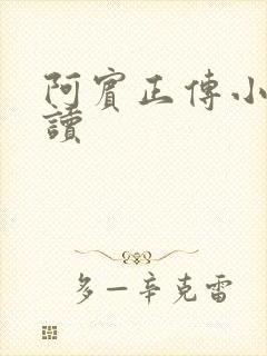 阿宾正传小说在读封面