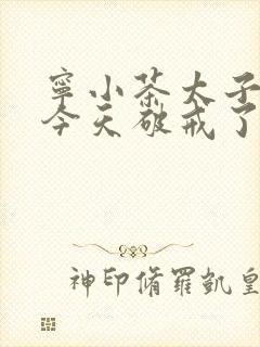 宁小茶太子殿下今天破戒了吗免费阅读