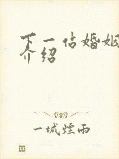 下一站婚姻剧情介绍