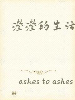 滢滢的生活日记