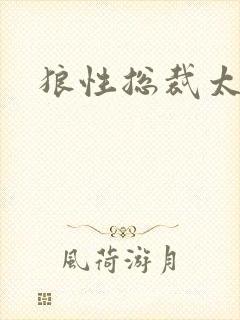 狼性总裁太凶猛