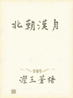 北朝汉月