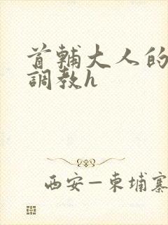 首辅大人的花式调教h