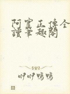 阿宾正传全文阅读笔趣阁