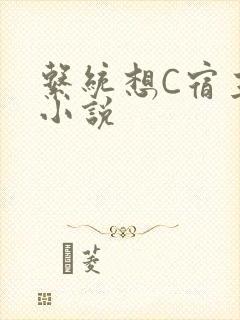 系统想C宿主的小说