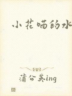 小花喵的水蜜桃