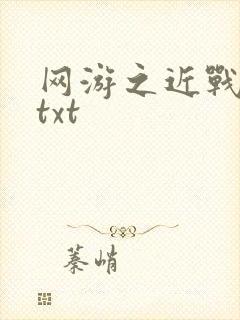 网游之近战法师txt封面