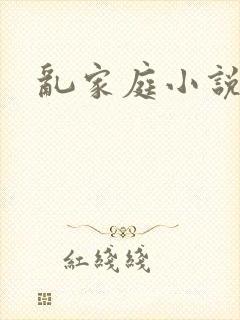 乱家庭小说封面