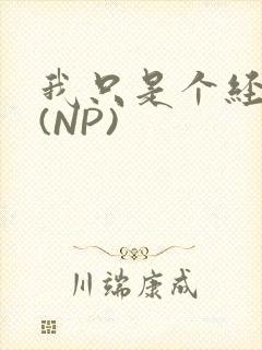 我只是个经纪人(NP)