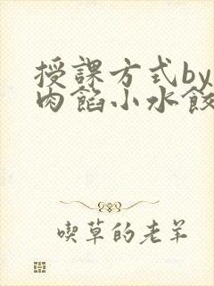 授课方式by 肉馅小水饺