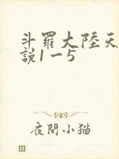 斗罗大陆天狂传说1一5