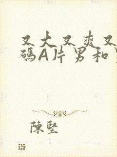 又大又爽又黄无码A片男和男封面