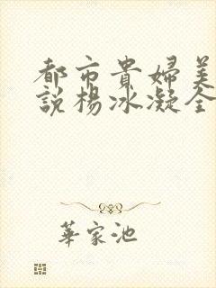 都市贵妇美腿小说杨冰凝全文阅读