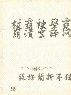 校霸被学霸玩到崩溃云译网封面