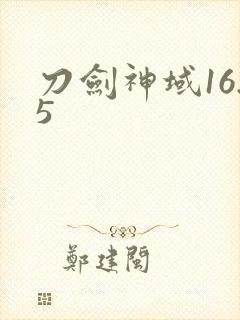 刀剑神域16.5