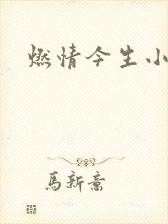 燃情今生小说