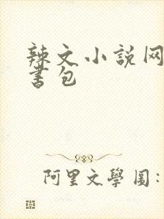 辣文小说网第二书包