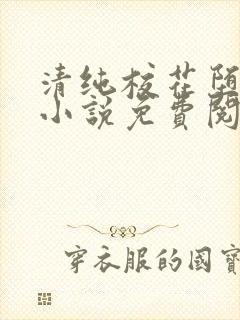 清纯校花堕落记小说免费阅读