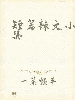 短篇辣文小说合集封面