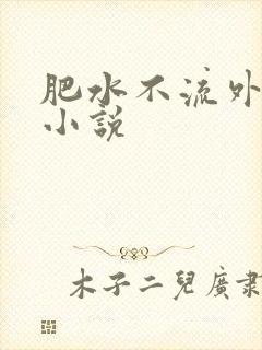 肥水不流外人田小说