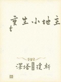 重生小地主txt