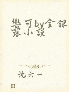 乐可by金银花露小说