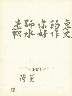 老师你的兔子好软水好作文免费阅读封面