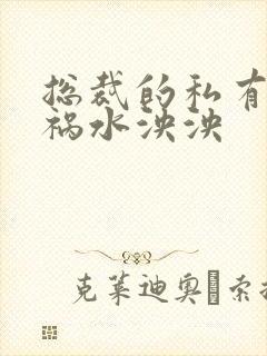 总裁的私有宝贝祸水泱泱