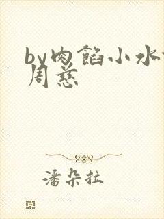 by肉馅小水饺周慈封面