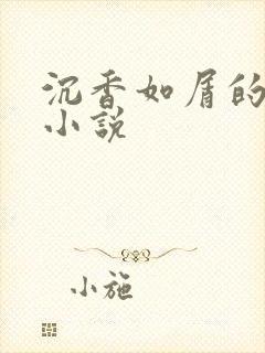 沉香如屑的原著小说封面