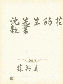 沈先生的花式调数书