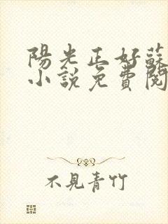 阳光正好苏玥玥小说免费阅读