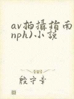 av拍摄指南(nph)小说