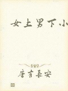 女上男下小说