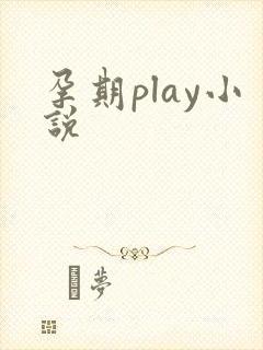 孕期play小说