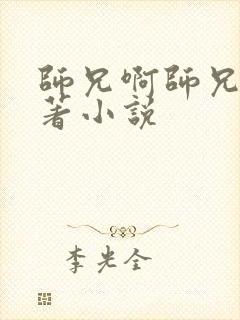 师兄啊师兄的原著小说封面