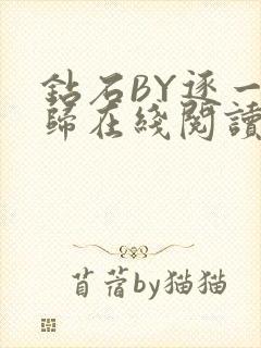 钻石BY逐一而归在线阅读