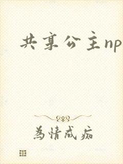 共享公主npc封面