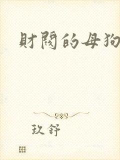 财阀的母狗们封面