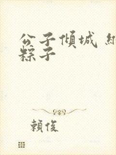 公子倾城 维和粽子