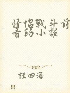 情侣战斗前适合看的小说