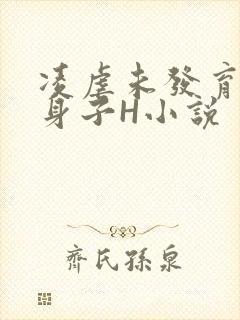凌虐未发育的小身子H小说