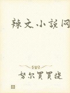 辣文小说网