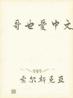 哥也爱中文