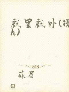 戏里戏外(现场h)