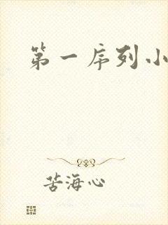 第一序列小说封面