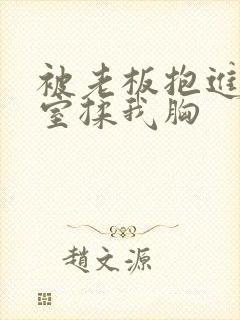 被老板抱进办公室揉我胸