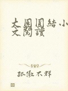 大团圆结小茹全文阅读