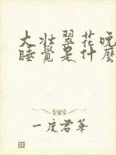 大壮翠花晚上不睡觉是什么电视剧